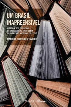 Escrithas_capa_livro_Um Brasil Inapreensivel_Mariana Tavares